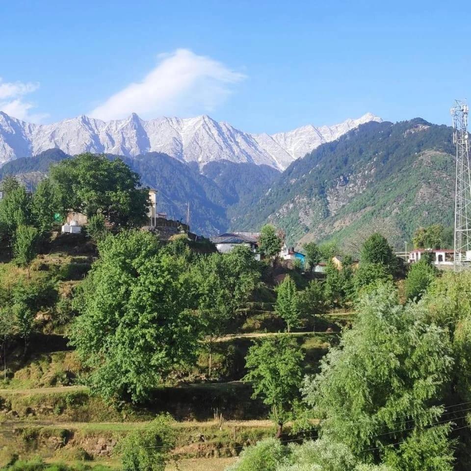 Anchal House Daire Dharamshala Dış mekan fotoğraf
